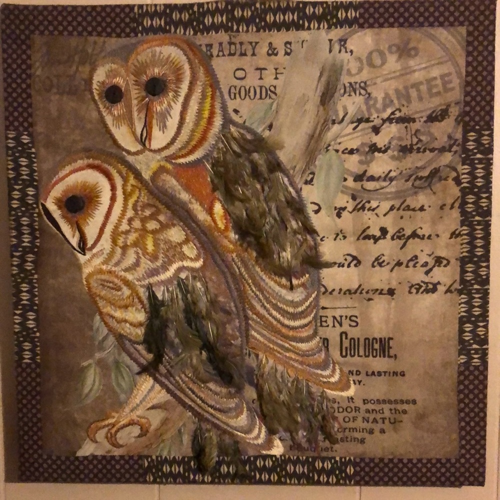 Owl Canvas wall art 11x13